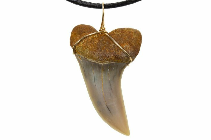 Fossil Hooked White Shark Tooth Necklace - Bakersfield, California #318871
